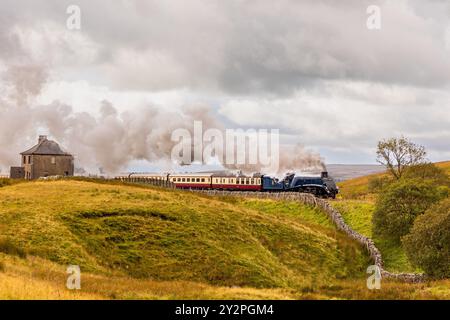 Blea Moor, Großbritannien. September 2024. LNER A4 60007 „Sir Nigel Gresley“ fährt seinen Zug in Richtung Blea Moor-Tunnel bei Ribblehead, wobei die Aussenstrecke des Charterflugzeugs Settle & Carlisle Fellsman von Saphos-Zügen genutzt wird. Quelle: Neil Terry/Alamy Live News Stockfoto