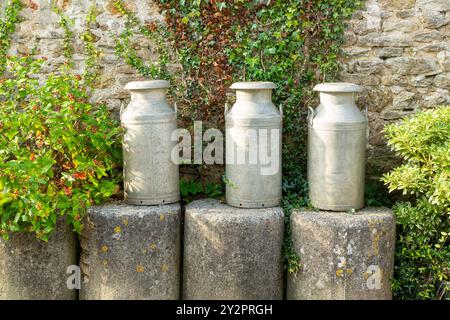 Drei Milchkerne und Steinmauer als Hintergrund Stockfoto