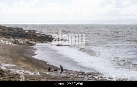 11. September 2024, Hardy’s Bay, Ogmore-by-Sea, Bridgend, Vale of Glamorgan, Wales. WETTER: Starke Winde und starke Strömungen bei rückläufiger Flut, inmitten von Sonne und Wolken bei Ogmore by Sea heute. Regen wird für später am Nachmittag vorhergesagt. HOCHWASSER-Peak 11,31 Bridget Catterall/Alamy Live News Stockfoto