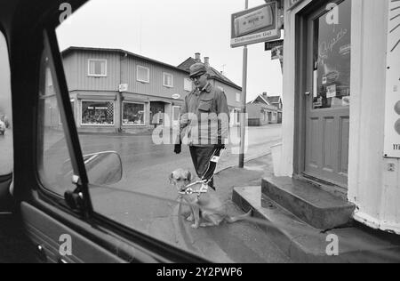 Aktuell 50-7-1970: Eine Schule für Blinde und Hund. Der Norwegische Blindenverband hat ein größeres Anwesen in Østfold gekauft und dort eine Führungshundschule eingerichtet, in der ab sofort jedes Jahr rund 30 Blindenführhunde ausgebildet werden. Finn Tunsli aus Oslo mit Runa. Die Blindenhunde erhalten eine Verkehrstraining, d.h. sie müssen für den Fahrer markieren, wenn ein Auto den Fußgängerübergang überqueren will. Foto: Ivar Aaserud / aktuell / NTB ***Foto ist nicht bildverarbeitet*** dieser Bildtext wird automatisch übersetzt dieser Bildtext wird automatisch übersetzt Stockfoto