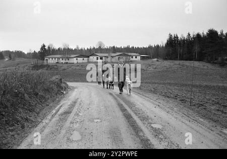 Aktuell 50-7-1970: Eine Schule für Blinde und Hund. Der Norwegische Blindenverband hat ein größeres Anwesen in Østfold gekauft und dort eine Führungshundschule eingerichtet, in der ab sofort jedes Jahr rund 30 Blindenführhunde ausgebildet werden. Foto: Ivar Aaserud / aktuell / NTB ***Foto ist nicht bildverarbeitet*** dieser Bildtext wird automatisch übersetzt dieser Bildtext wird automatisch übersetzt Stockfoto