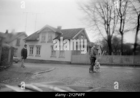 Aktuell 50-7-1970: Eine Schule für Blinde und Hund. Der Norwegische Blindenverband hat ein größeres Anwesen in Østfold gekauft und dort eine Führungshundschule eingerichtet, in der ab sofort jedes Jahr rund 30 Blindenführhunde ausgebildet werden. Finn Tunsli aus Oslo mit Runa. Die Blindenhunde erhalten eine Verkehrstraining, d.h. sie müssen für den Fahrer markieren, wenn ein Auto den Fußgängerübergang überqueren will. Foto: Ivar Aaserud / aktuell / NTB ***Foto ist nicht bildverarbeitet*** dieser Bildtext wird automatisch übersetzt dieser Bildtext wird automatisch übersetzt Stockfoto