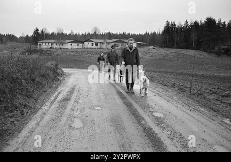 Aktuell 50-7-1970: Eine Schule für Blinde und Hund. Der Norwegische Blindenverband hat ein größeres Anwesen in Østfold gekauft und dort eine Führungshundschule eingerichtet, in der ab sofort jedes Jahr rund 30 Blindenführhunde ausgebildet werden. Foto: Ivar Aaserud / aktuell / NTB ***Foto ist nicht bildverarbeitet*** dieser Bildtext wird automatisch übersetzt dieser Bildtext wird automatisch übersetzt Stockfoto