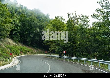 A scenic winding road from Kartli to Kakheti, flanked by lush green forests under an overcast sky in the Caucasus Mountains of Georgia, showcasing the Stockfoto