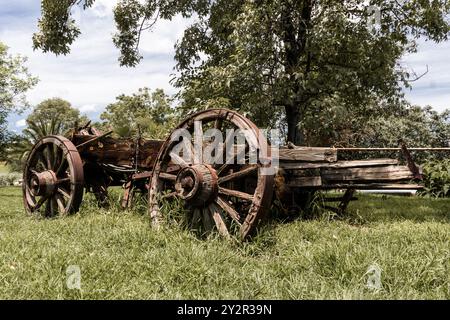 Ein verwitterter hölzerner Wagen mit rostigen Eisenrädern sitzt verlassen auf einem üppigen grünen Feld, umgeben von Bäumen. Das Bild fängt eine rustikale, historische Gebühr ein Stockfoto