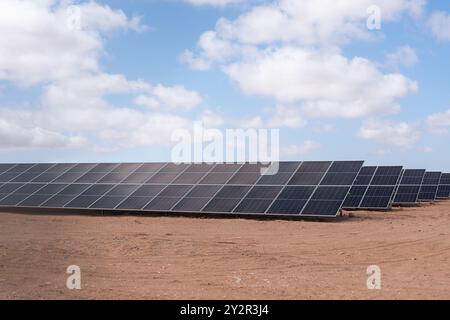 Große Auswahl an modernen Solarpaneelen, die sich über ein trockenes Wüstengelände unter einem klaren blauen Himmel erstrecken und die Lösungen für erneuerbare Energien in abgelegenen Gebieten symbolisieren Stockfoto