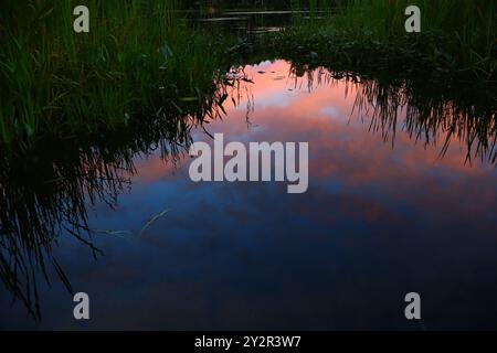 Sanfte Farben in diesem schönen Sommersonnenuntergang. Er zog neben einem Teich ab, weil der Sonnenuntergang zu schön war, um ihn zu verpassen. Dieses Foto fühlt sich warm und bequem an. Stockfoto