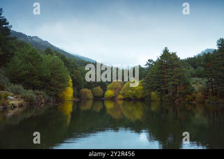Dieses bezaubernde Bild fängt einen ruhigen See ein, eingebettet zwischen dichten Wäldern unter einem nebeligen Himmel, der die lebhaften Farben des Herbstblatts reflektiert, ideal für Stockfoto