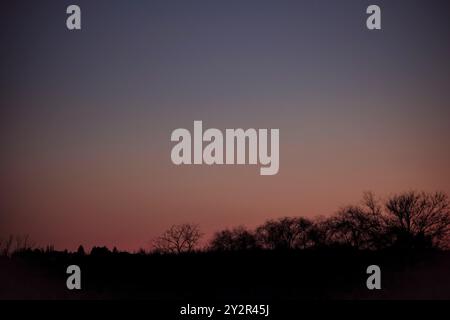 Dieses ruhige Bild zeigt den auffälligen Farbverlauf der Dämmerung, von cremigem Orange bis tiefem Blau, über eine Silhouette aus dünn verzweigten Bäumen und Stockfoto