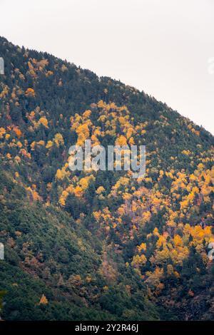 Leuchtende Herbsttöne bedecken die bewaldeten Hänge der aragonesischen Pyrenäen, die entlang des Flusses Ara atemberaubende jahreszeitliche Farben zeigen Stockfoto