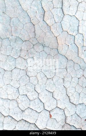 Drohnenansicht der einzigartigen, abstrakten Textur auf einer Steinoberfläche im White Pocket Area der Paria Canyon-Vermilion Cliffs Wilderness in Stockfoto