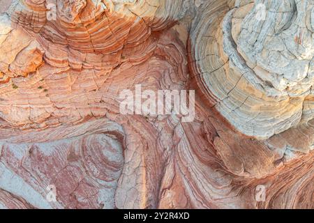 Luftaufnahme von abstrakten Mustern in den wirbelnden Sandsteinformationen von White Pocket in Arizona, die natürliche Kunstfertigkeit und geologische Won zeigen Stockfoto