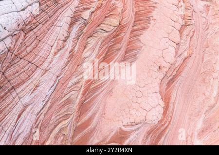 Ein Blick auf die Drohnen auf komplizierte Muster in Rot und Beige schlängelt sich durch die Sandsteinformationen von White Pocket in der Paria Canyon-Vermilion Cliffs Wilderness Stockfoto