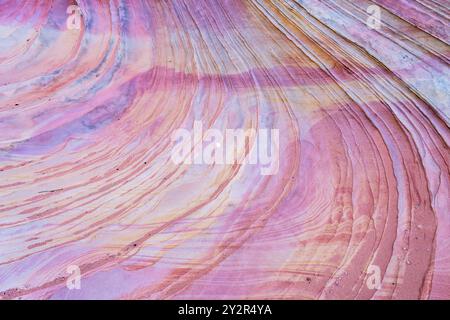 Markante wellenartige Muster aus mehrfarbigem Sandstein dominieren diesen natürlichen Abstrakt von Coyote Buttes in Arizonas Paria Canyon-Vermilion Cliffs Wil Stockfoto