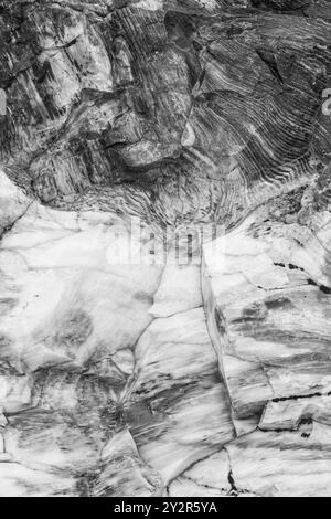 Nahaufnahme der komplizierten Muster und Texturen, die in den versteinerten Holzstämmen im Gingko Petrified Forest State Park in Vantage, Washington, gefunden wurden. Stockfoto
