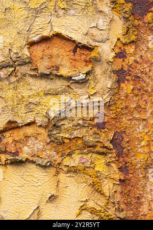 Eine detaillierte Ansicht der verwitterten, gerissenen und abblätternden gelben Farbe auf einer alten Oberfläche, die die Auswirkungen von Zeit und Elementen zeigt. Stockfoto