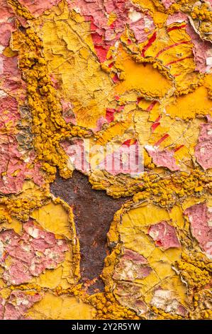 Eine detaillierte Nahaufnahme einer alten verwitterten strukturierten Oberfläche, gerissen und abblätternder gelber und roter Farbe. Stockfoto