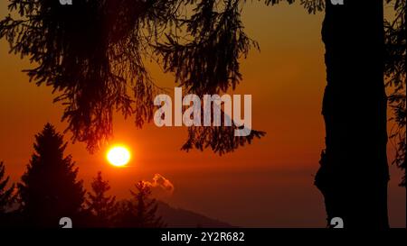 Ein atemberaubender Sonnenuntergang im Schwarzwald, Deutschland, mit Silhouetten von dichten Bäumen, die die pulsierende Sonne umrahmen. Stockfoto