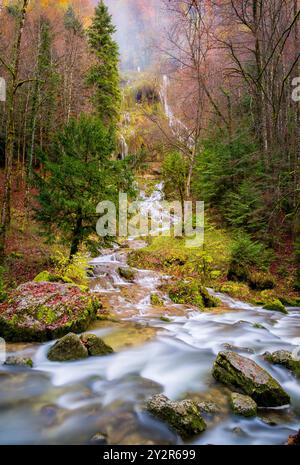 Eine malerische Herbstszene in der Cascade de La Tuffiere im französischen Jura mit fließendem Wasser über moosigen Felsen, umgeben von bunten Blättern. Stockfoto