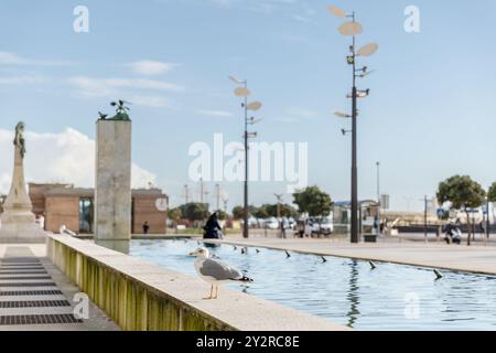 Povoa de Varzim, Porto, Portugal - 22. Oktober 2020: Detail und Straßenatmosphäre in der Passage der fröhlichen Promenade „largo do passeio alegre“ mit Stockfoto