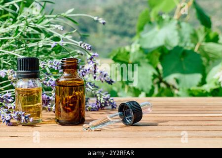 Flaschen mit natürlichem ätherischem Lavendelöl und frischen lila Lavendelblüten auf Holztisch vor naturgrünem Hintergrund. Aromatherapie, alternati Stockfoto