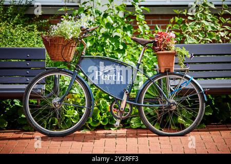 Perth, Rodney Gardens Fahrradblumen Stockfoto