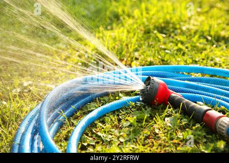 Wasser spritzt aus dem Schlauch auf grünes Gras im Freien Stockfoto