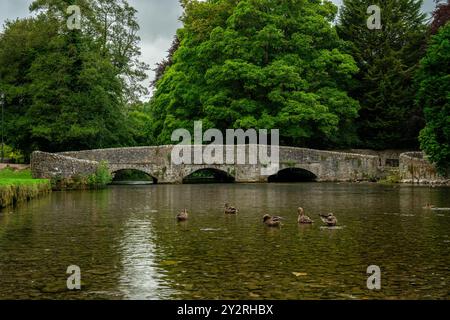 Ashford im Wasser mittelalterliche drei-Bogen-Schaf-Waschbrücke im Derbyshire Peak District National Park, England, Großbritannien. Stockfoto
