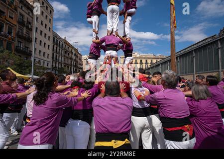 Barcelona, Spanien. September 2024. Mitglieder einer „Colla castellera“ werden gesehen, wie sie einen menschlichen Turm auf dem Passeig del Born aufrichten. Barcelona feiert den Nationalfeiertag Kataloniens und erinnert an die Kapitulation Barcelonas an die Bourbon-Armee während des Erbfolgekrieges. Quelle: SOPA Images Limited/Alamy Live News Stockfoto