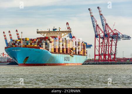 Großes Containerschiff am Containerterminal Burchardkai in Hamburg Stockfoto