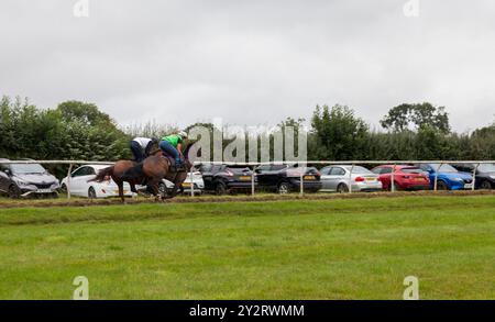 Zwei Rennpferde im Galopp in den Denton Hall Stables, Darlington, England, Großbritannien Stockfoto