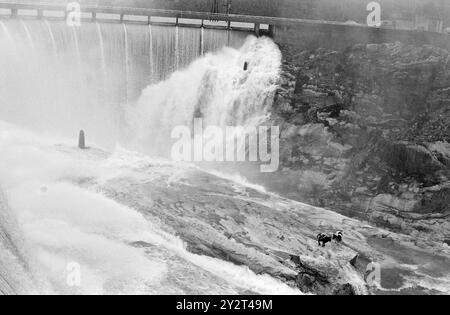 Aktuell 46-4-1971: Der große Sozialversicherungsstreit. In Sirdal herrscht große Unzufriedenheit mit dem Leiter der Sozialversicherung, und es gibt viele Beschwerden, die an ihn gerichtet sind. Der Streit hat seine Wurzeln in der Vergangenheit. Alle Umstände im Zusammenhang mit dem Sozialversicherungsstreit in Sirdal werden in Kürze veröffentlicht. Auf einer großen öffentlichen Sitzung müssen alle Seiten des Falles im Lichte des Tages präsentiert werden. Foto: Sverre A. Børretzen / aktuell / NTB ***FOTO NICHT VERARBEITET*** dieser Bildtext wird automatisch übersetzt Stockfoto