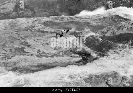 Aktuell 46-4-1971: Der große Sozialversicherungsstreit. In Sirdal herrscht große Unzufriedenheit mit dem Leiter der Sozialversicherung, und es gibt viele Beschwerden, die an ihn gerichtet sind. Der Streit hat seine Wurzeln in der Vergangenheit. Jetzt werden alle Umstände im Zusammenhang mit dem Sozialversicherungsstreit in Sirdal bald veröffentlicht. Auf einer großen öffentlichen Sitzung müssen alle Seiten der Angelegenheit im Lichte der Welt präsentiert werden. Foto: Sverre A. Børretzen / aktuell / NTB ***FOTO NICHT VERARBEITET*** dieser Bildtext wird automatisch übersetzt Stockfoto