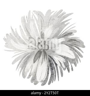 Wasserfarben-Fichtenzweig. Abbildung eines verschneiten Baumzweigs. Handgezeichnete Tannenskizze auf isoliertem Hintergrund. Stockfoto