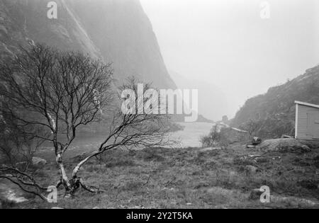 Aktuell 46-4-1971: Der große Sozialversicherungsstreit. In Sirdal herrscht große Unzufriedenheit mit dem Leiter der Sozialversicherung, und es gibt viele Beschwerden, die an ihn gerichtet sind. Der Streit hat seine Wurzeln in der Vergangenheit. Jetzt werden alle Umstände im Zusammenhang mit dem Sozialversicherungsstreit in Sirdal bald veröffentlicht. Auf einer großen öffentlichen Sitzung müssen alle Seiten der Angelegenheit im Lichte der Welt präsentiert werden. Foto: Sverre A. Børretzen / aktuell / NTB ***FOTO NICHT VERARBEITET*** dieser Bildtext wird automatisch übersetzt Stockfoto