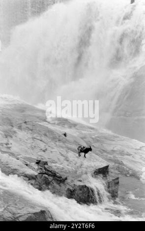 Aktuell 46-4-1971: Der große Sozialversicherungsstreit. In Sirdal herrscht große Unzufriedenheit mit dem Leiter der Sozialversicherung, und es gibt viele Beschwerden, die an ihn gerichtet sind. Der Streit hat seine Wurzeln in der Vergangenheit. Alle Umstände im Zusammenhang mit dem Sozialversicherungsstreit in Sirdal werden in Kürze veröffentlicht. Auf einer großen öffentlichen Sitzung müssen alle Seiten des Falles im Lichte des Tages präsentiert werden. Foto: Sverre A. Børretzen / aktuell / NTB ***FOTO NICHT VERARBEITET*** dieser Bildtext wird automatisch übersetzt Stockfoto