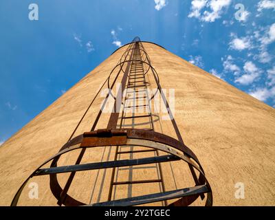 Die rostige Käfigleiter steigt an die Spitze des Betonbehälters an einem ländlichen Getreideaufzug Stockfoto