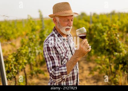 Der Hausmeister hält ein Glas tiefen Rotweins und lächelt, während er zwischen den Reihen von Weinreben steht, die vom sanften Leuchten der untergehenden Sonne beleuchtet werden Stockfoto