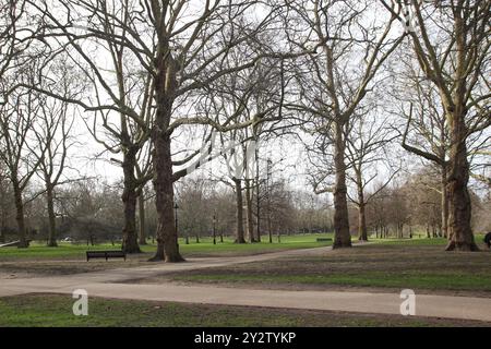 Eine ruhige Parkszene mit blattlosen Bäumen, Wegen und Bänken an einem bewölkten Tag. Stockfoto