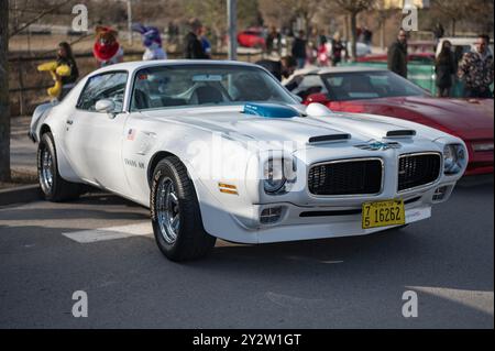 Vorderansicht eines klassischen amerikanischen Sportwagens Pontiac Firebird Trans am Interceptor in weiß mit blauem Streifen auf der Straße Stockfoto