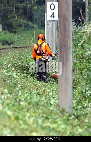 Sicherheitsrelevante Maßnahmen im Bahnbetrieb Vegetationsrückschnitt an Gleisanlagen zur Verkehrssicherung im Bahnbetrieb *** sicherheitsrelevante Maßnahmen im Bahnbetrieb Verringerung der Vegetation auf Gleisanlagen zur Verkehrssicherheit im Bahnbetrieb Stockfoto