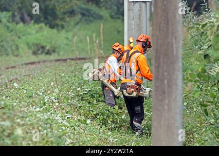 Sicherheitsrelevante Maßnahmen im Bahnbetrieb Vegetationsrückschnitt an Gleisanlagen zur Verkehrssicherung im Bahnbetrieb *** sicherheitsrelevante Maßnahmen im Bahnbetrieb Verringerung der Vegetation auf Gleisanlagen zur Verkehrssicherheit im Bahnbetrieb Stockfoto