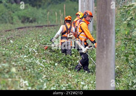 Sicherheitsrelevante Maßnahmen im Bahnbetrieb Vegetationsrückschnitt an Gleisanlagen zur Verkehrssicherung im Bahnbetrieb *** sicherheitsrelevante Maßnahmen im Bahnbetrieb Verringerung der Vegetation auf Gleisanlagen zur Verkehrssicherheit im Bahnbetrieb Stockfoto