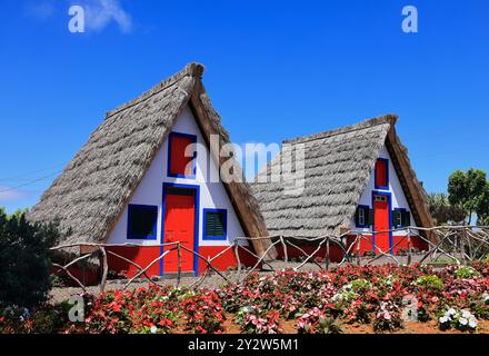 Traditionelle Santana-Häuser mit Strohdächern in Madeira, Portugal, umgeben von bunten Blumen unter einem klaren blauen Himmel. Stockfoto