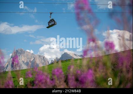 Ein malerischer Blick auf eine Seilbahn, die über einen üppig grünen Hügel mit violetten Blumen hinaufsteigt, vor dem Hintergrund majestätischer Berge und eines klaren blauen Himmels. Stockfoto
