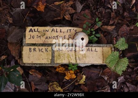 Ein Pink Floyd Lyrik, geschrieben auf einem Ziegelstein am Doll's Head Trail in Atlanta, Georgia - „alles in allem, es ist nur ein weiterer Ziegelstein in der Wand“ Stockfoto