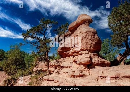 Sonnenuntergang im Garden of the Gods, Colorado Springs, Colorado Stockfoto