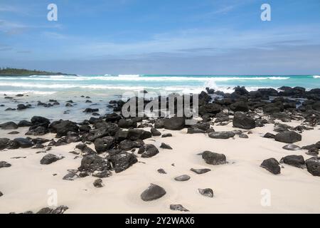 Strand, Tortuga Bay, Nationalpark Galápagos, Insel Santa Cruz, Galápagos, Ecuador, Südamerika Stockfoto