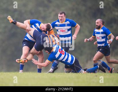 Englische Amateur-Rugby-Union-Spieler, die in einem Ligaspiel spielen. Stockfoto