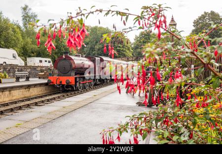 W Bagnall 0-6-0T: 68012 'The Duke', eine erhaltene Dampflokomotive, die auf der Ecclesbourne Valley Railway betrieben wird. Stockfoto